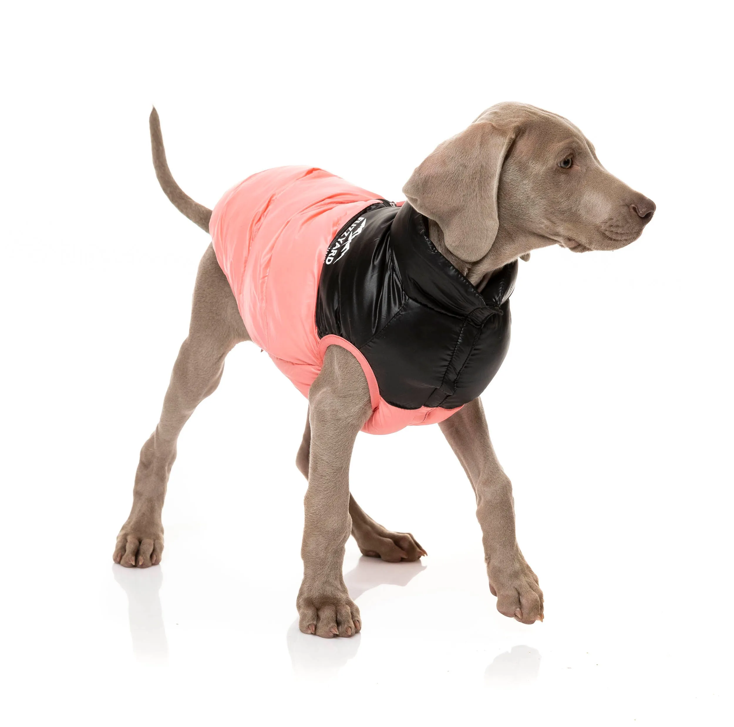 Harlem Puffer Jacket - Pink