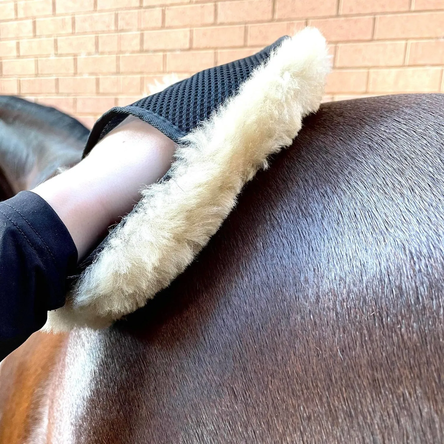 Scratch and Dent Merino Wool Polishing Mitt